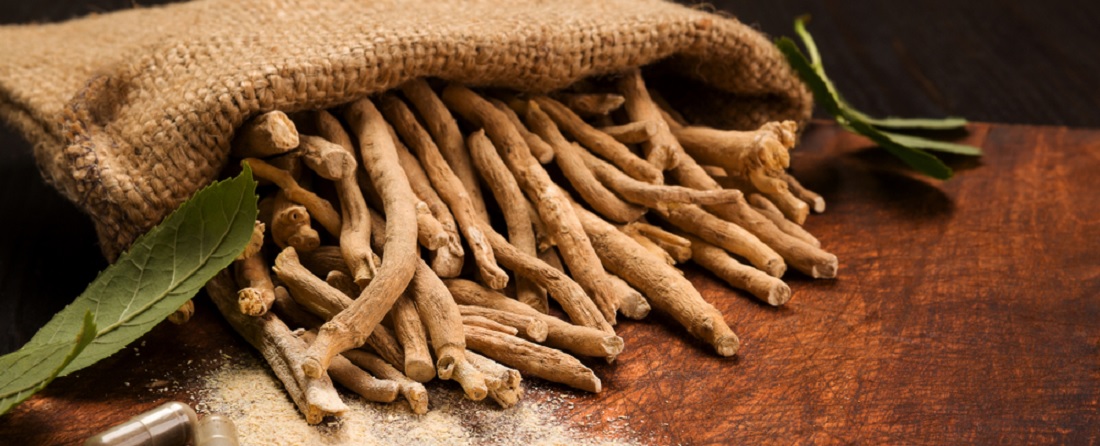 The Most Effective Ashwagandha Supplements In 2026 – A Buyer’s Guide